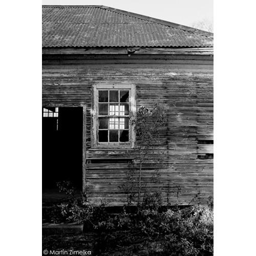 Rollei Ortho 25 Black and White Negative Film