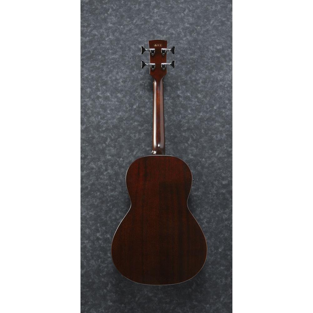 Ibanez AVNB1FE Fretless Acoustic Electric Bass