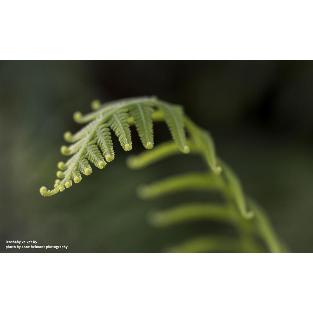 Lensbaby Pro Kit for Canon EF