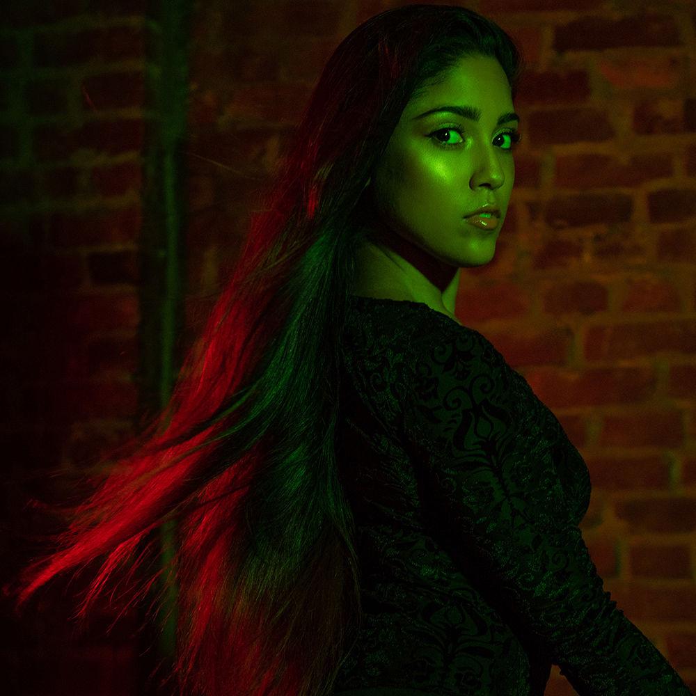 Savage RGB300 Color Video Light