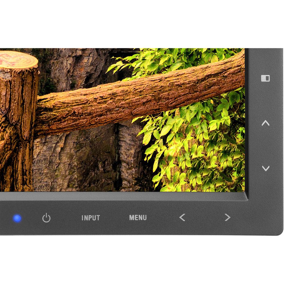 NEC EA295WMI-BK 29" 21:9 Ultrawide IPS Monitor