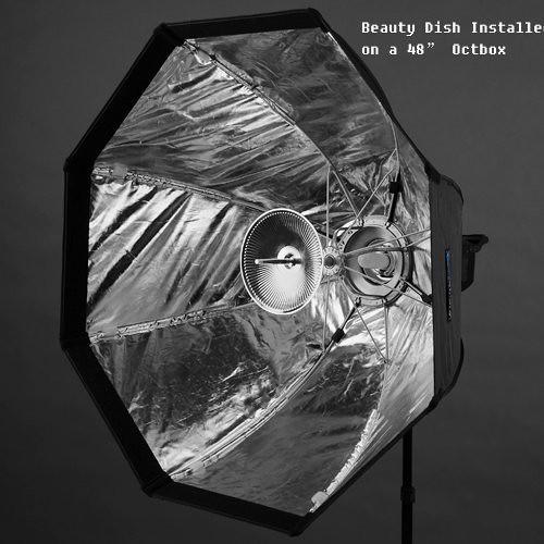 FotodioX EZ-Pro Strip Softbox