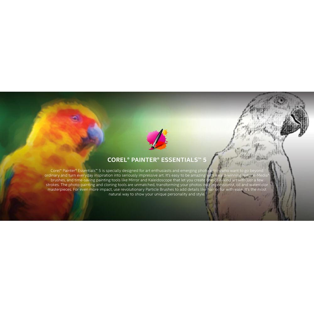 Intel Premium Creativity Bundle