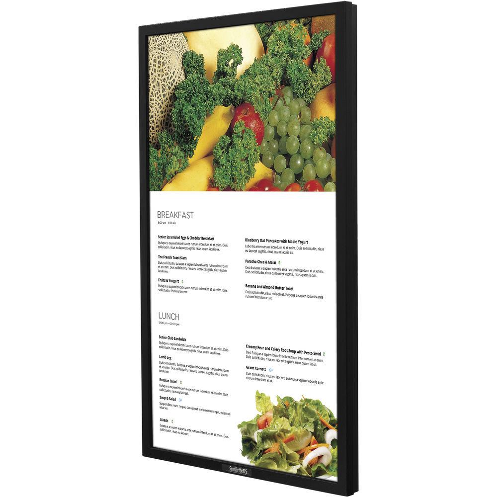 SunBriteTV DS-4917P 49" Pro Series Outdoor Digital Signage Display