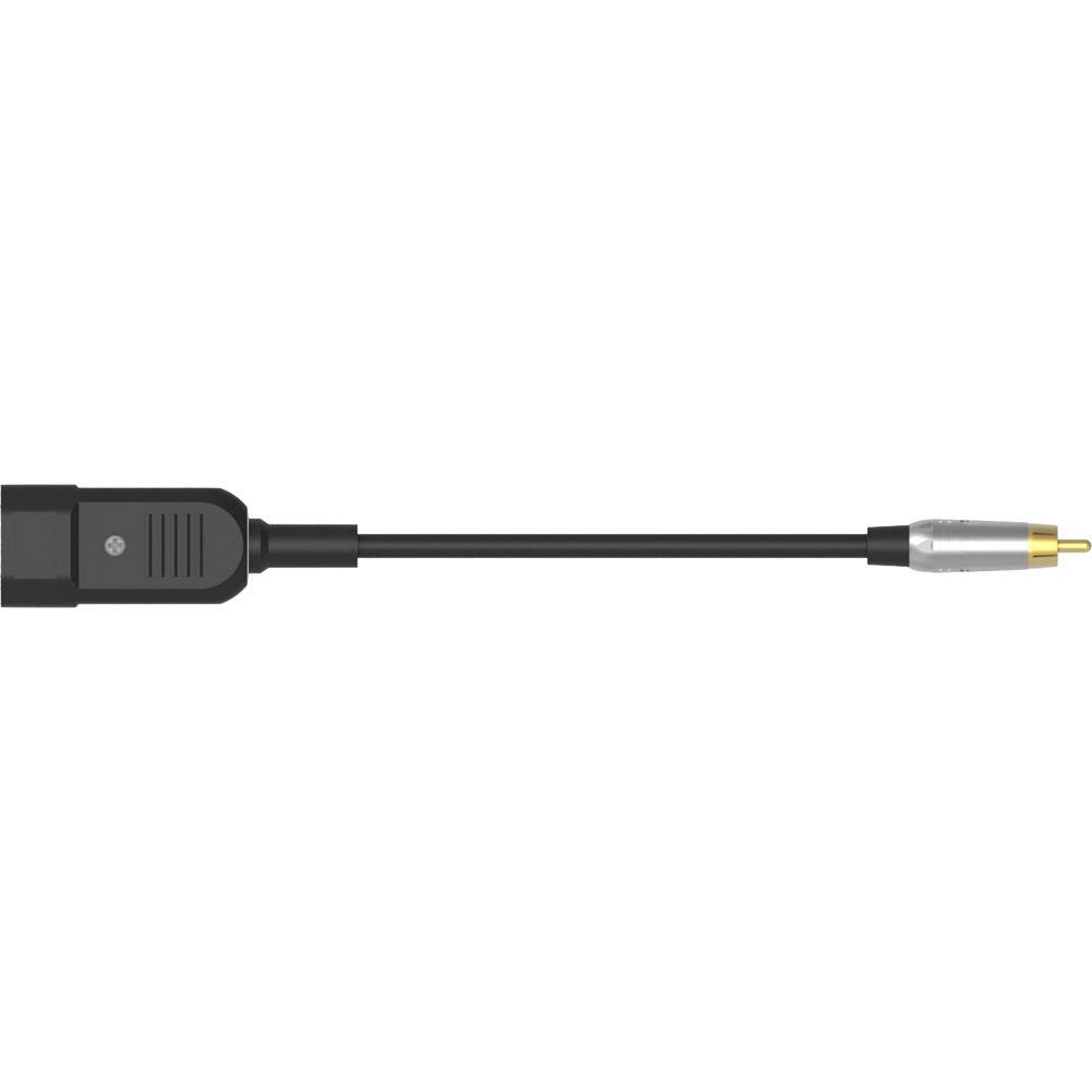 iFi AUDIO Gemini Dual-Headed Grounding Cable Kit