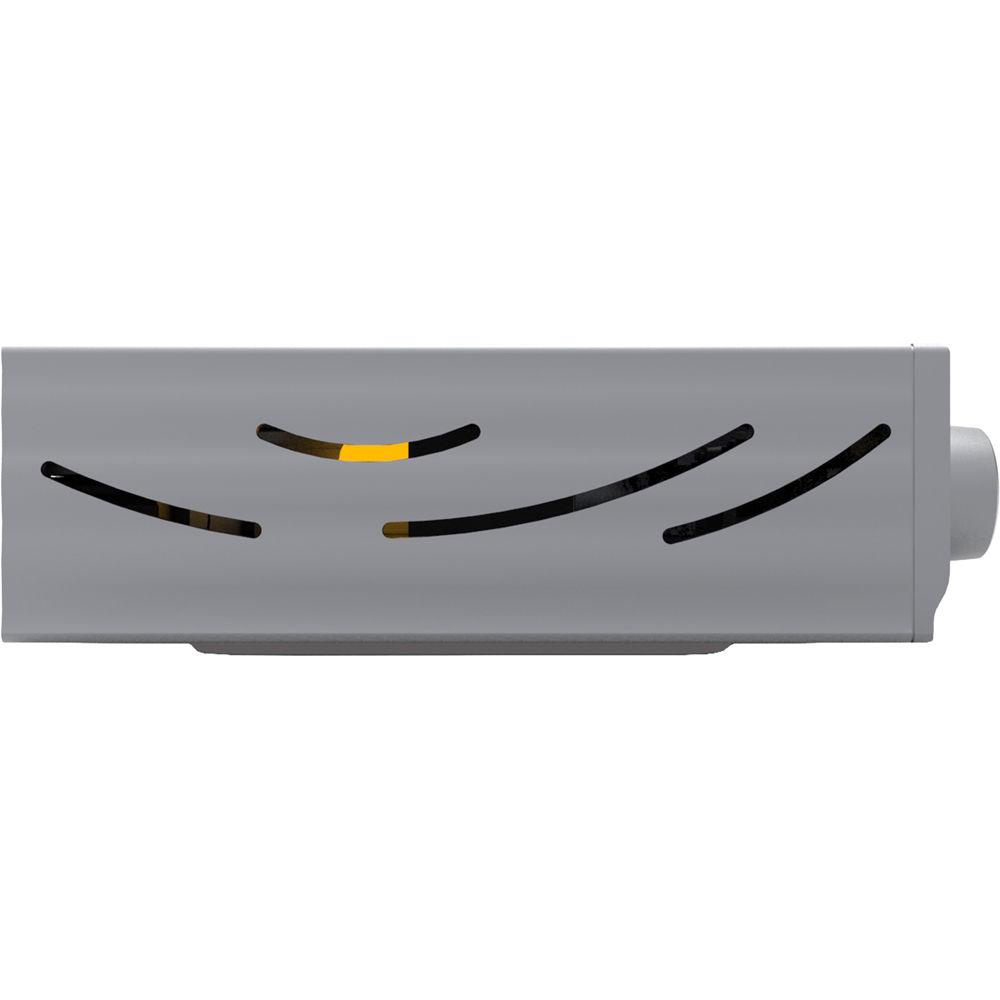 iFi AUDIO Pro iCAN - Studio-Grade Headphone Amplifier and Audiophile Line-Stage