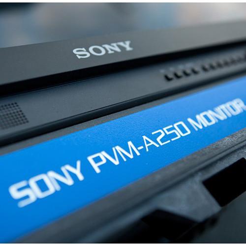 Jason Cases Hard Travel Case for Sony A250 Monitor