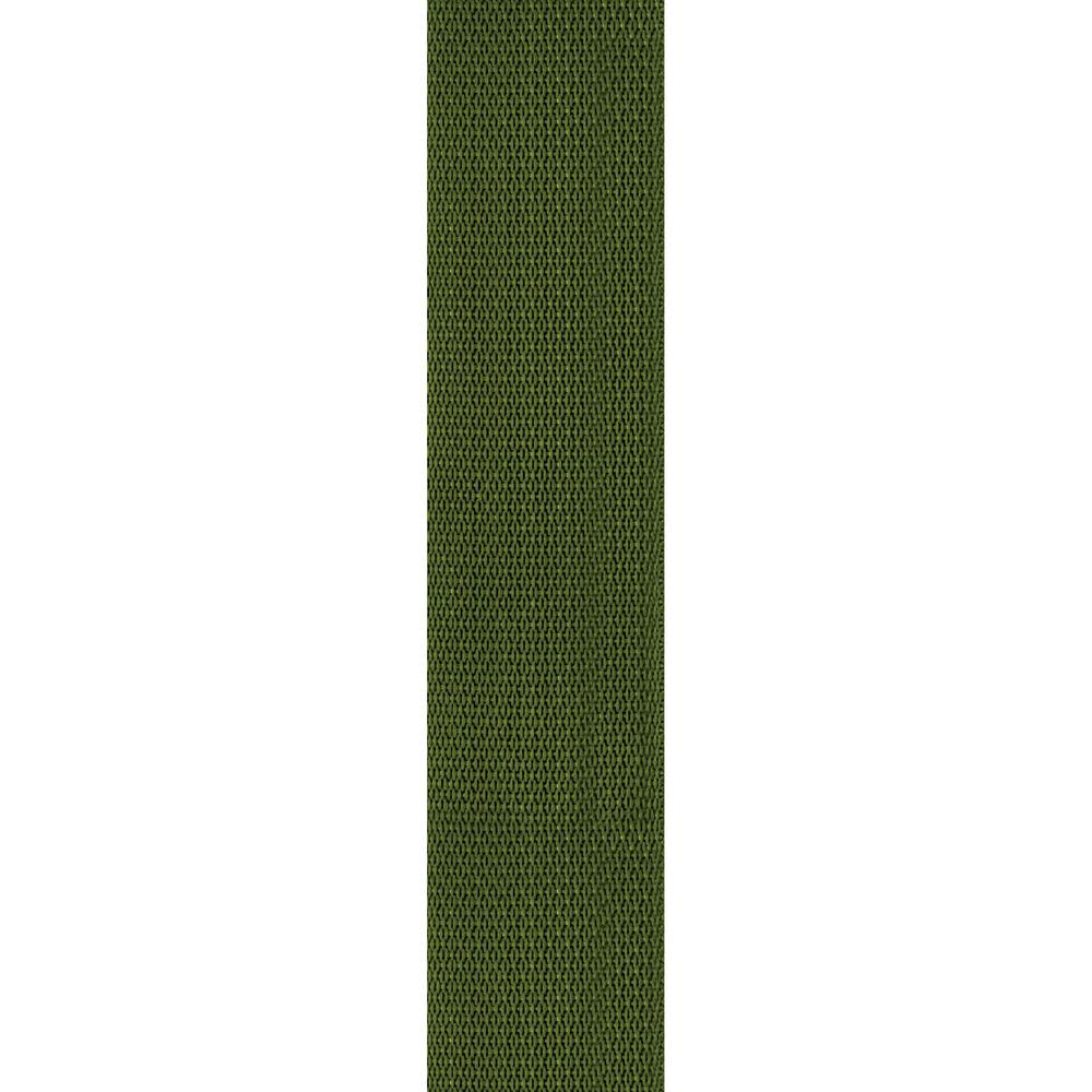 Planet Waves Polypropylene 2" Guitar Strap