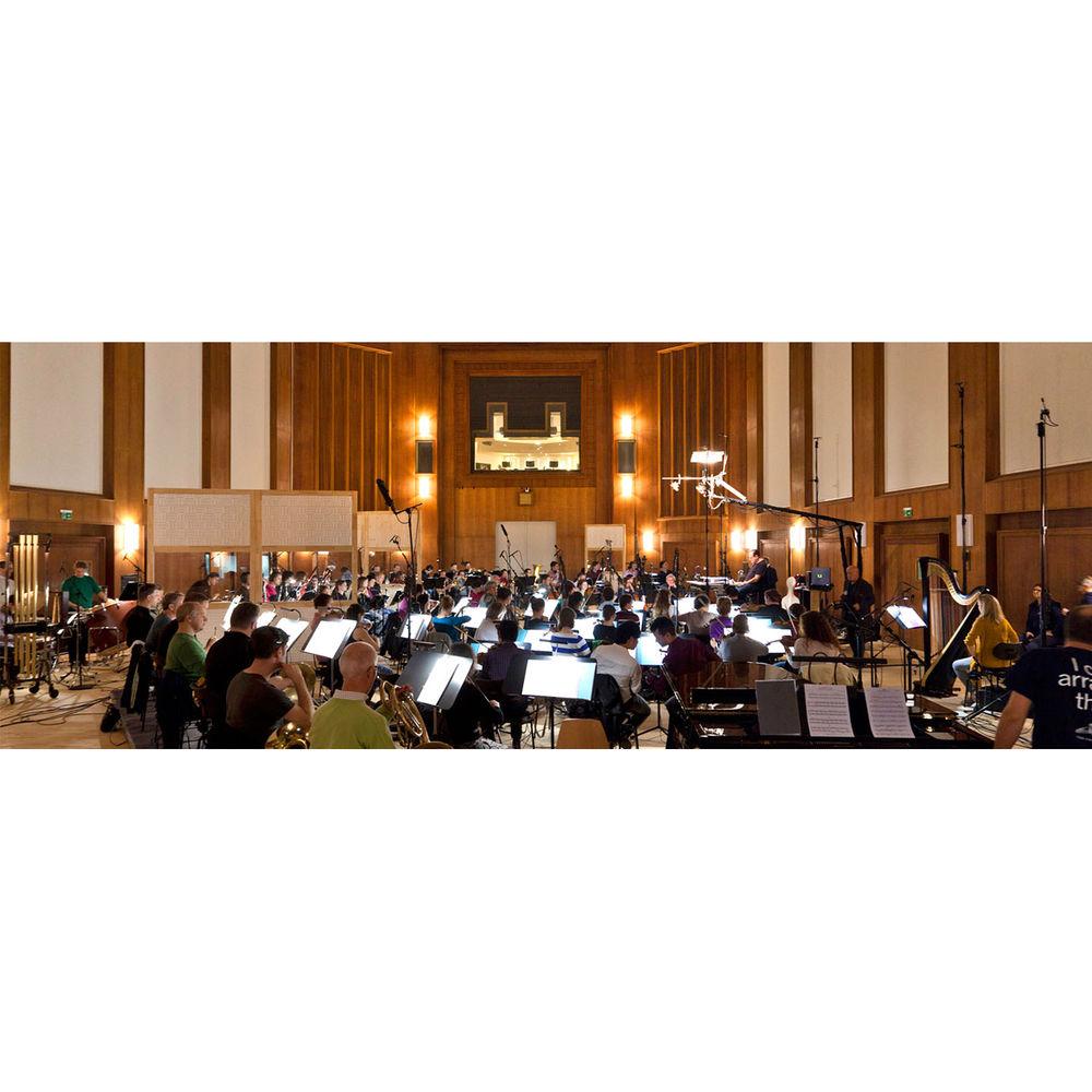 Vienna Symphonic Library SYNCHRON-ized Chamber Strings - Virtual Instrument