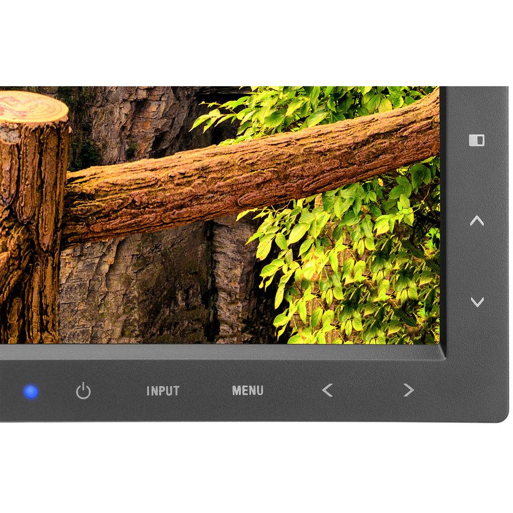 NEC EA295WMI-BK 29" 21:9 Ultrawide IPS Monitor