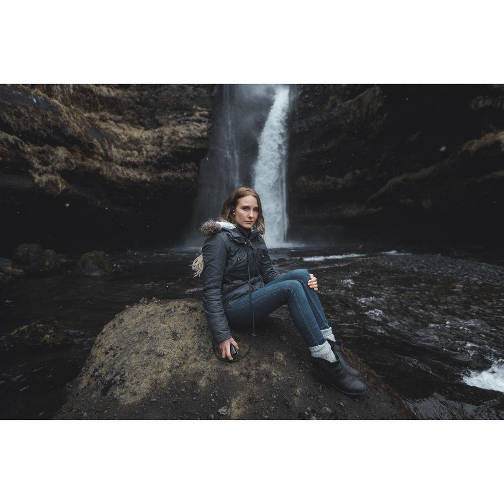 Shure KSE1200 Sound-Isolating Electrostatic Earphone Amplifier System