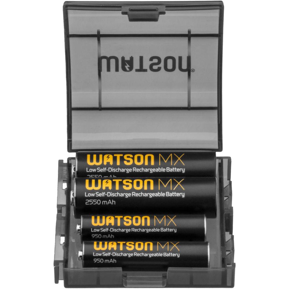 Watson Case for 4 AA or AAA Batteries