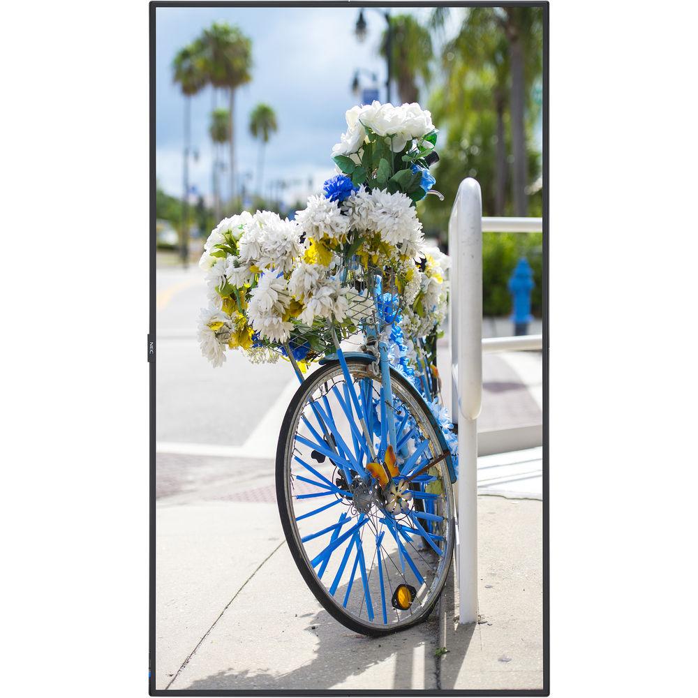 NEC C431 43"-Class Full HD Commercial LED Display