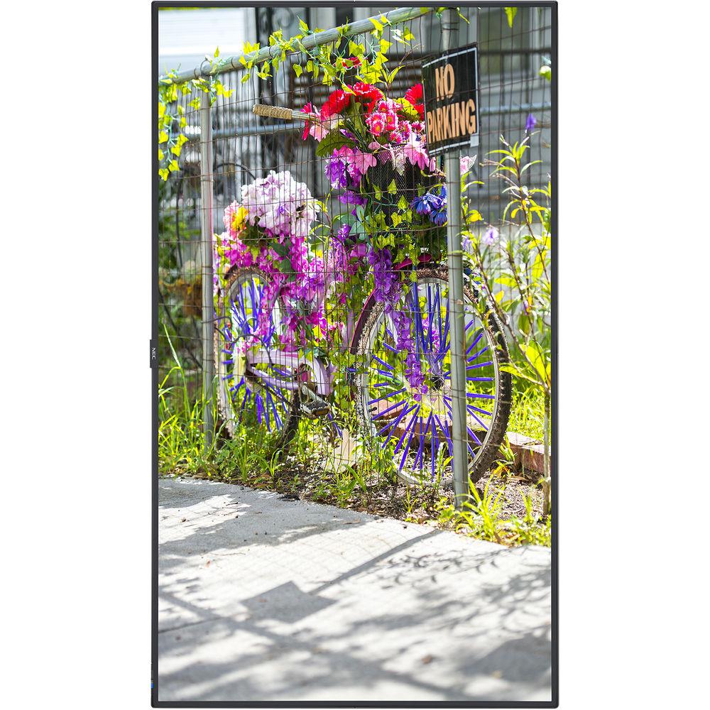 NEC C501 50"-Class Full HD Commercial LED Display