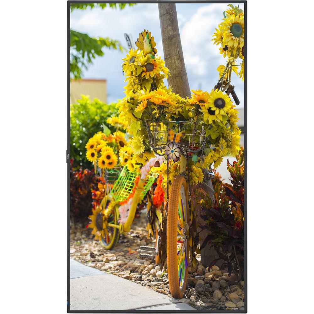 NEC C551 55"-Class Full HD Commercial LED Display