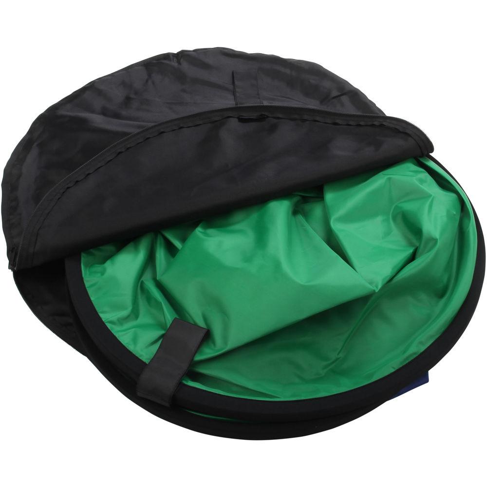 Smith-Victor Chameleon Green Blue Background