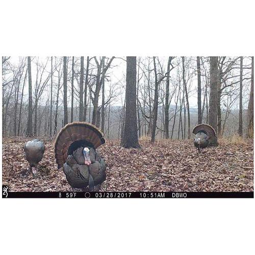 Browning Dark Ops Extreme Trail Camera