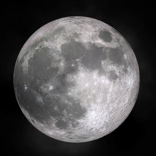 Boris FX Sapphire 2019 Mocha Pro 2019 for Avid Adobe OFX Bundle