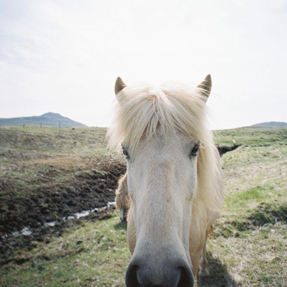 Lomography LC-Wide Camera