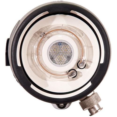 Ikelite DS161 Underwater Substrobe Video Light with NiMH Battery and Smart Charger