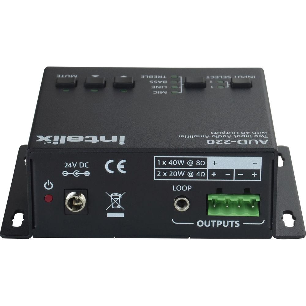 Intelix 2-Input 2x 20W Class-D Speaker Amplifier, Intelix, 2-Input, 2x, 20W, Class-D, Speaker, Amplifier