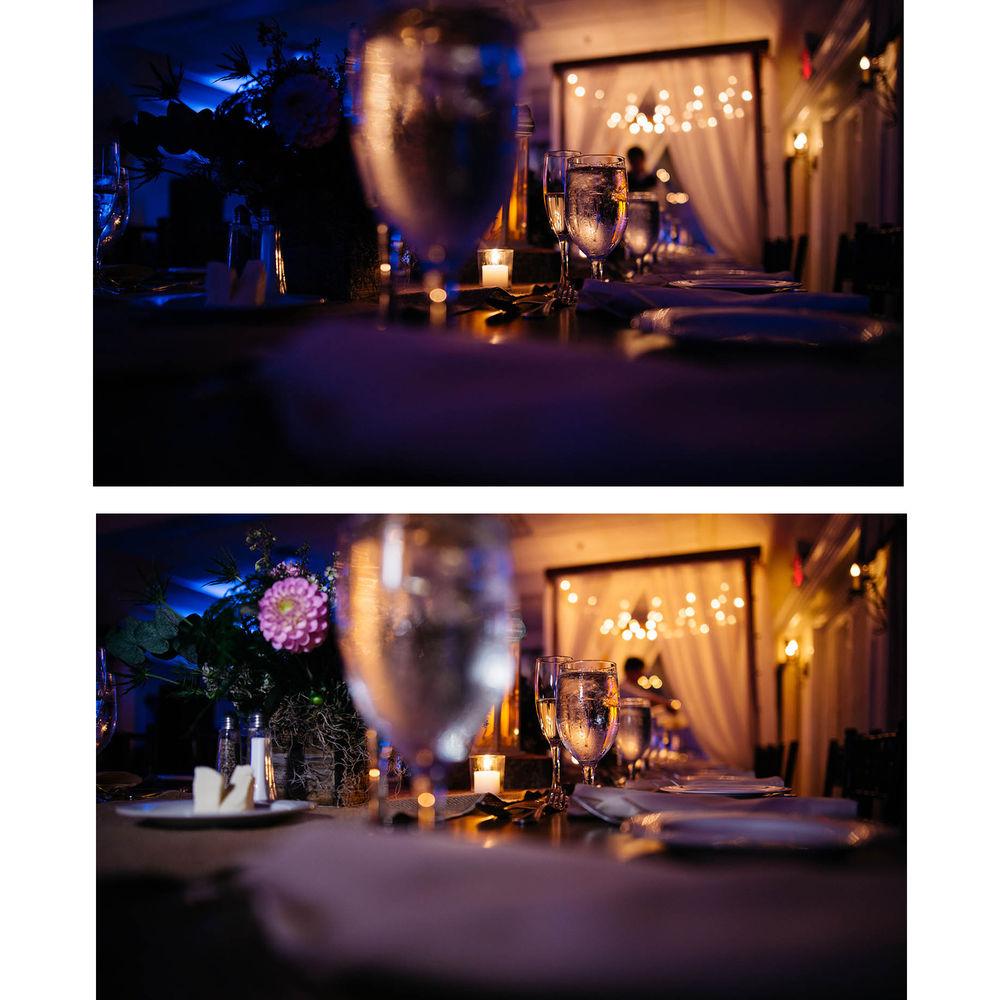 Lowel Go Lite Compact LED Light