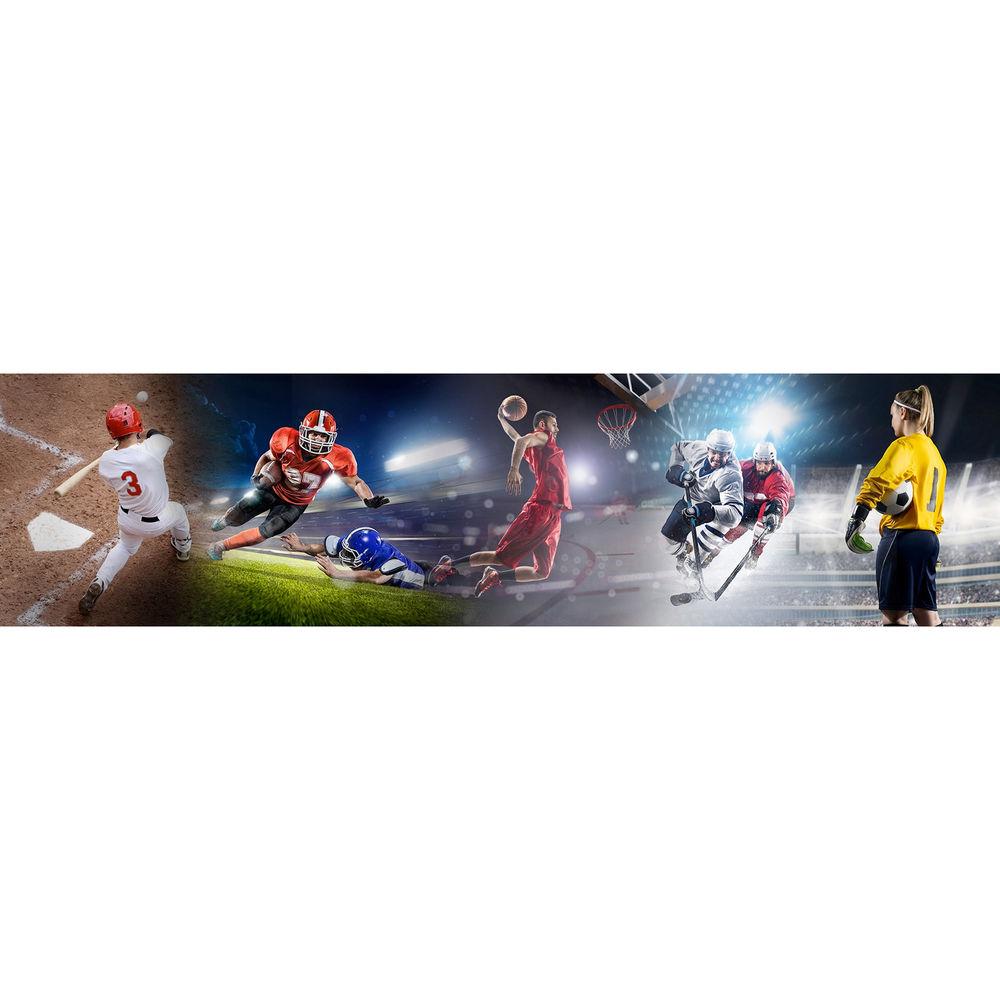 NewBlueFX Titler Live 4 Sport