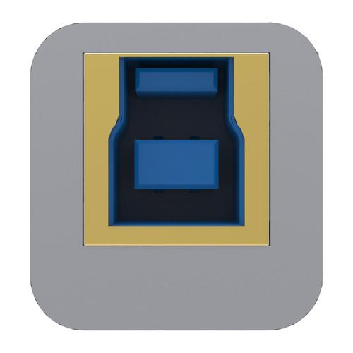 iFi AUDIO iPurifier2 USB Purifier