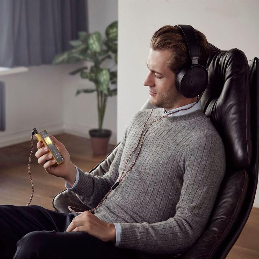 Sony NW-WM1Z Signature Series 256GB - High-Resolution Digital Music Player