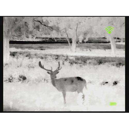 Bering Optics 348 x 288 Prodigy Pro Thermal Monocular