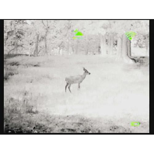 Bering Optics 348 x 288 Prodigy Pro Thermal Monocular