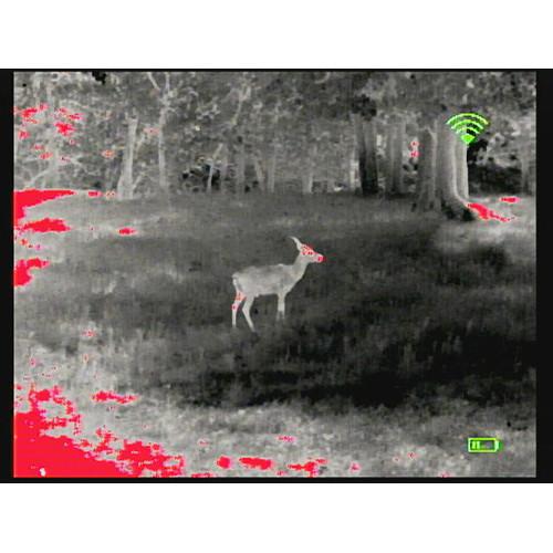 Bering Optics 348 x 288 Prodigy Pro Thermal Monocular