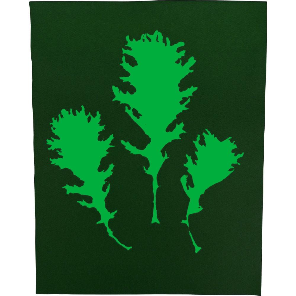 Cyanotype Store Cyanotype Paper