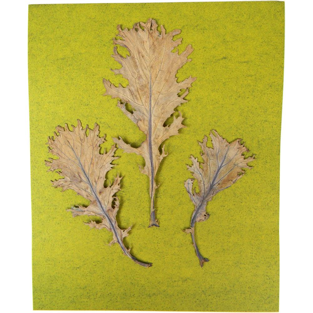 Cyanotype Store Cyanotype Paper