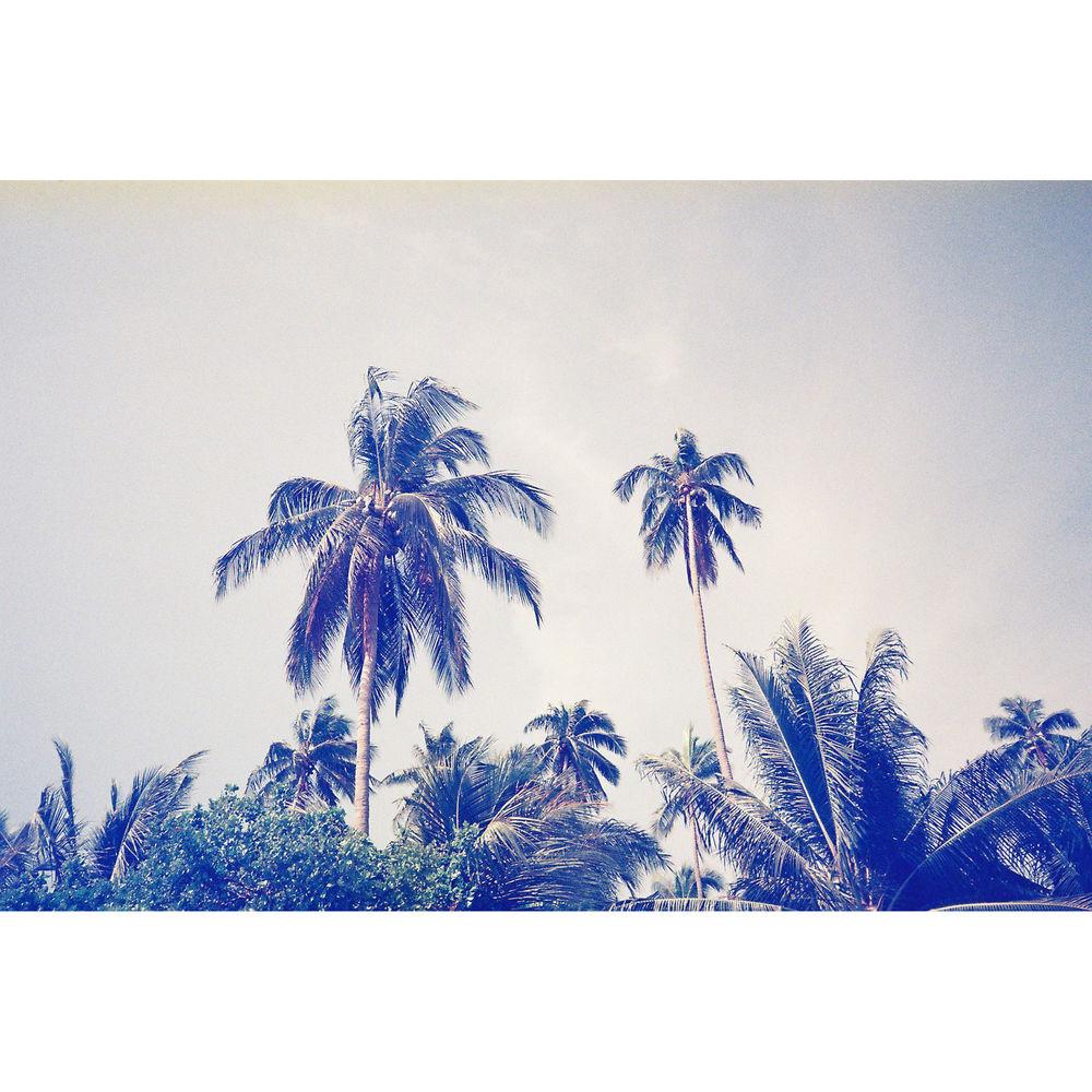 dubble film Moonstruck 200 Color Negative Film