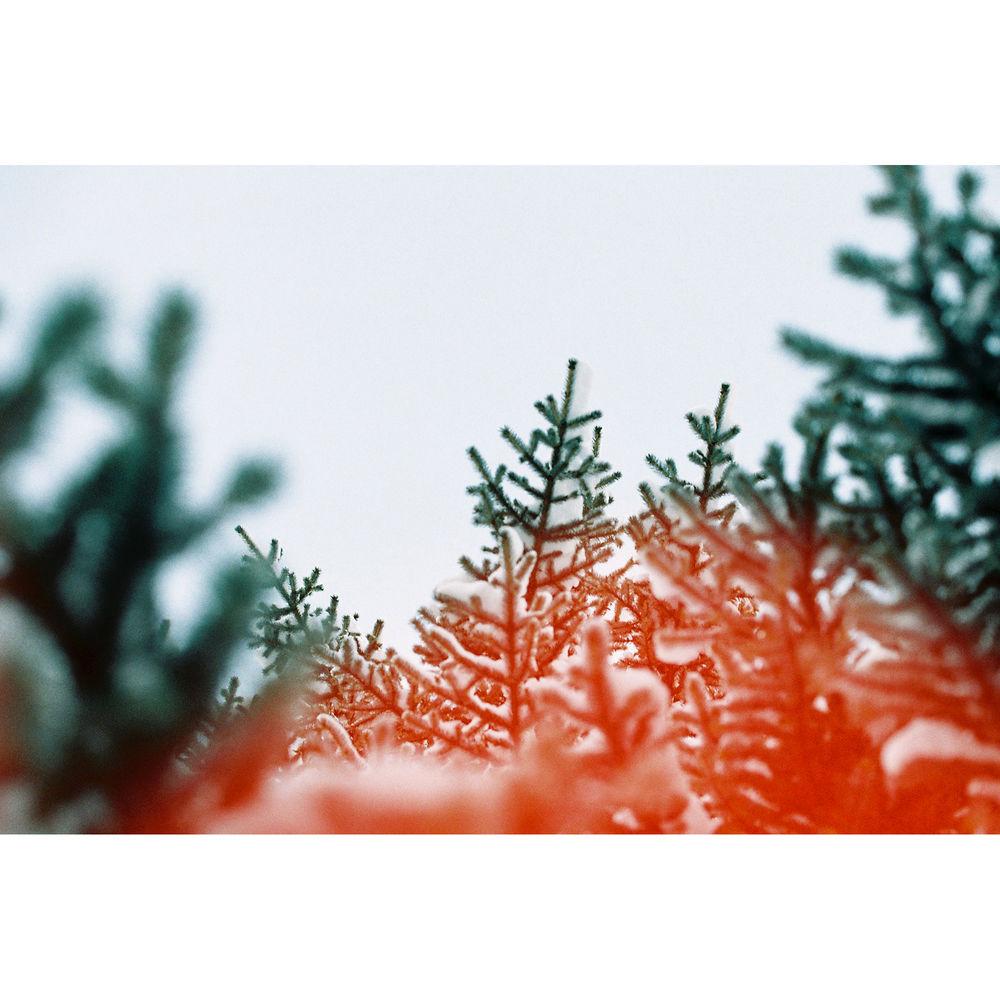 dubble film Sunstroke 200 Color Negative Film