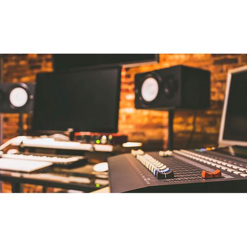 AJA Io IP Professional Video and Audio I O over IP for Thunderbolt 3