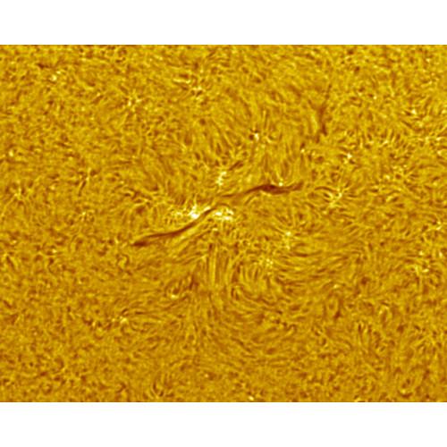 Coronado SolarMax III 90mm f 8.8 H-alpha Solar Telescope, Coronado, SolarMax, III, 90mm, f, 8.8, H-alpha, Solar, Telescope