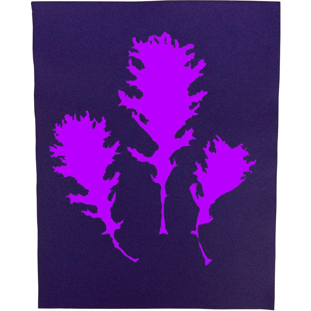 Cyanotype Store Cyanotype Paper