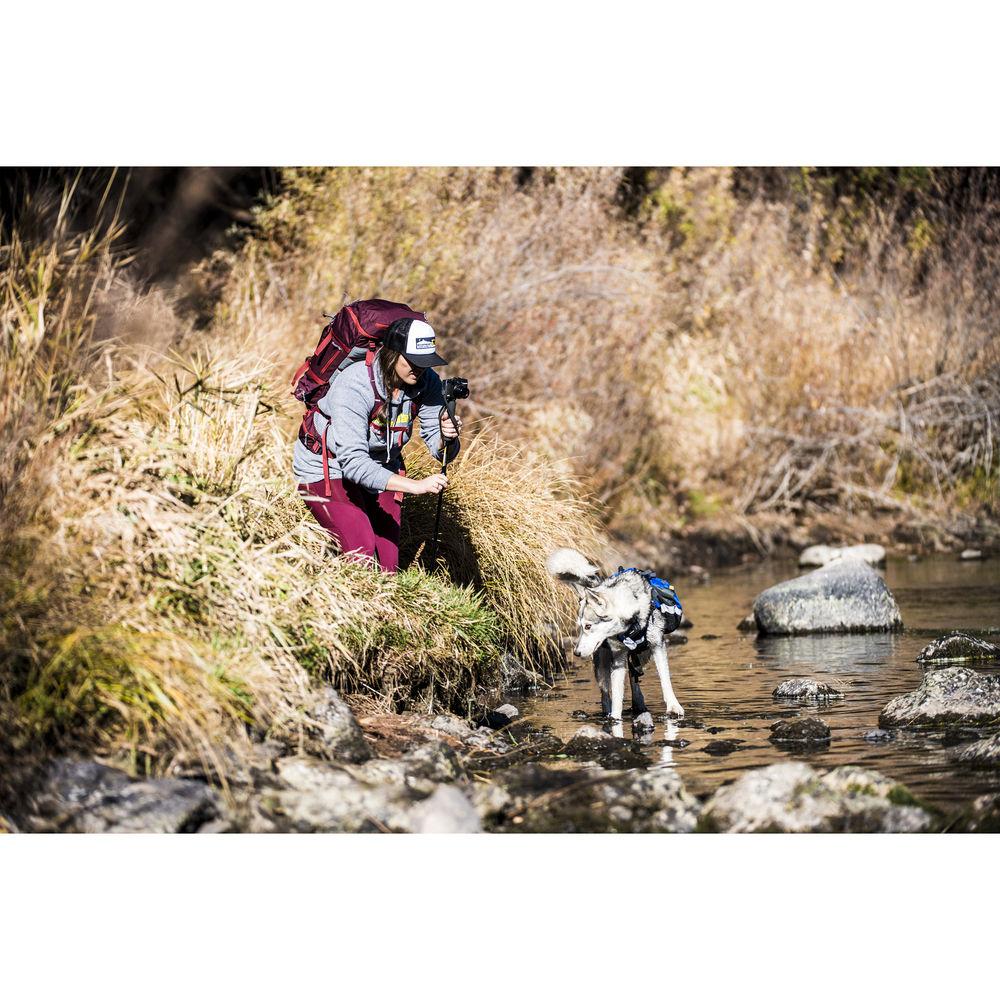 Mountainsmith FXpedition Monopod