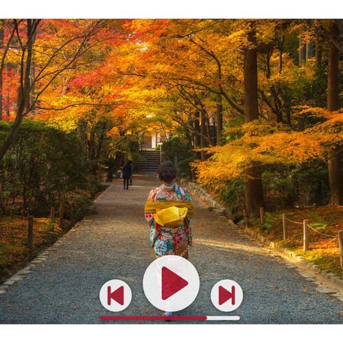 ViewSonic 4K Ultra HD Wireless Network Media Player