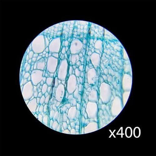 Barska AY13286 Student Compound Monocular Microscope