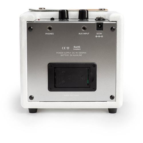 Loog Mini Amp with Shielded 5