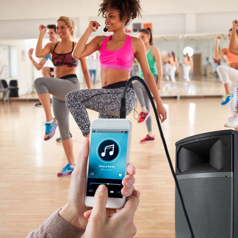 Pyle Pro 3.5mm Male to Dual XLR Female Cable