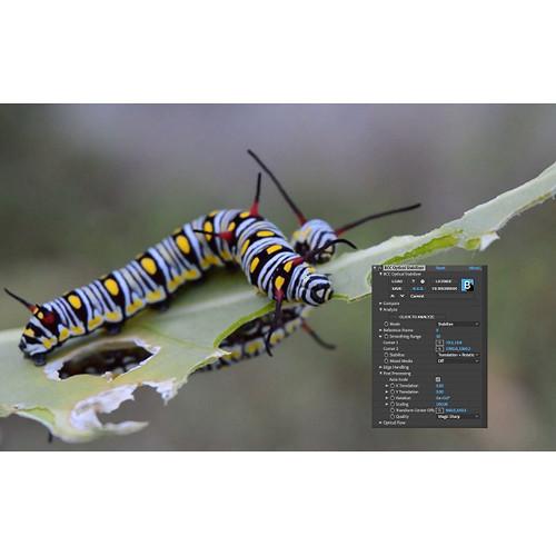 Boris FX Continuum Optical Stabilizer Premium Filter