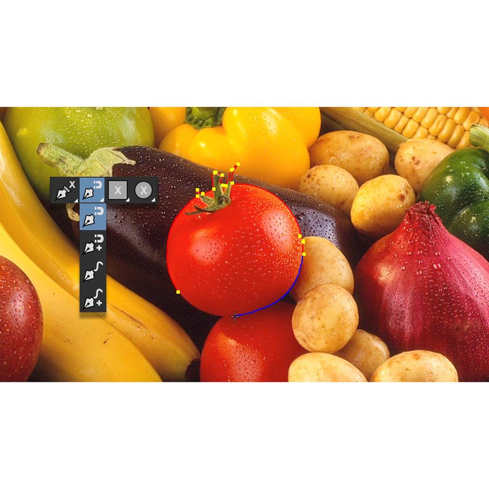 Boris FX Mocha Pro 2019 Plug-In for OFX