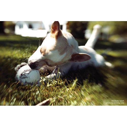 Lensbaby Spark 50mm f 5.6 Selective Focus Lens for Nikon F Mount