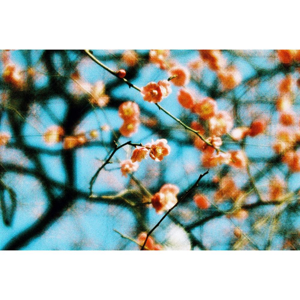 Lomography Daguerreotype Achromat 64mm f 2.9 Art Lens for Canon EF