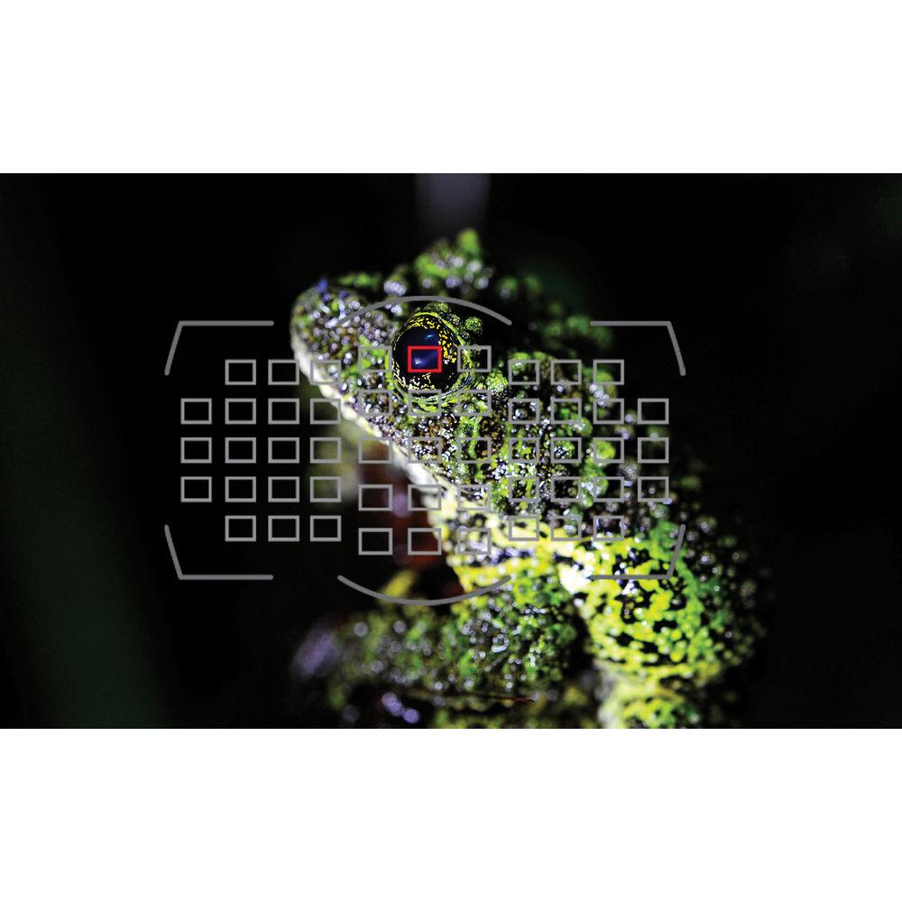 Nikon D3S Digital SLR Camera - Refurbished