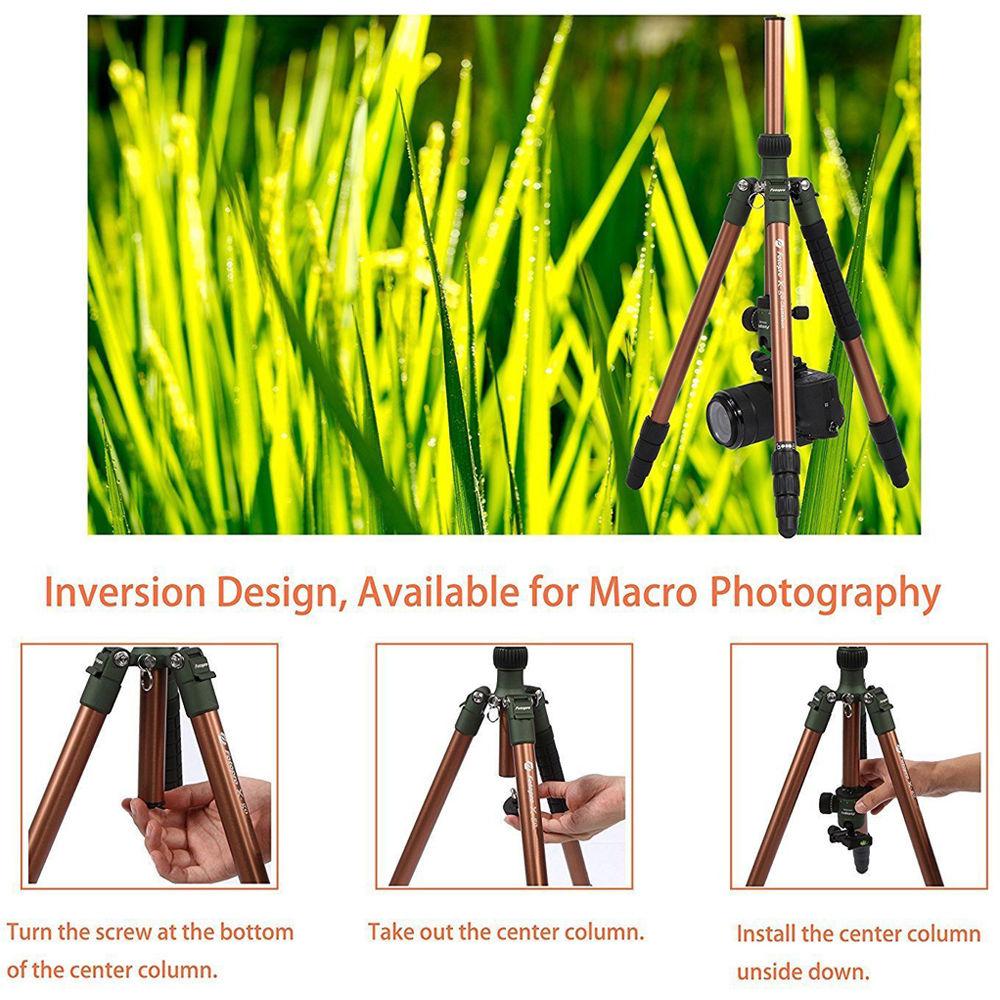 Fotopro X-GO Chameleon with FPH-52Q Ball Head